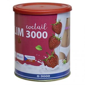 SLIM 3000 COCTAIL JAHODA (Doplněk stravy v prášku. Koktejlová směs s rozpustnou vlákninou, karnitinem, sojovým lecitinem a zeleným čajem.)