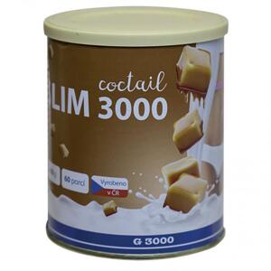 SLIM 3000 COCTAIL KARAMEL (Doplněk stravy v prášku. Koktejlová směs s rozpustnou vlákninou, karnitinem, sojovým lecitinem a zeleným čajem.)