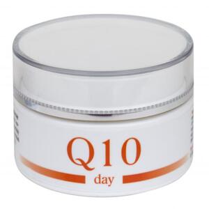Q10 DAY KRÉM (Exceletní denní krém pro péči o normální a smíšenou pleť s koenzymem Q-10.)