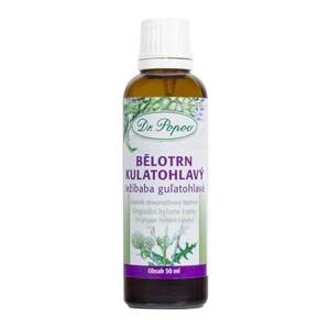 Bělotrn kulatohlavý, originální bylinné kapky, 50 ml (K normálním nervovým vzruchům jako tzv. rekonvalescenční bylina. Doplněk stravy.)