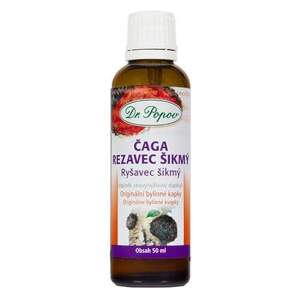 Čaga-Rezavec šikmý, originální bylinné kapky, 50 ml (Bříza, na které čaga roste, má silnou vitální energii a čaga z ní čerpá. Doplněk stravy.)