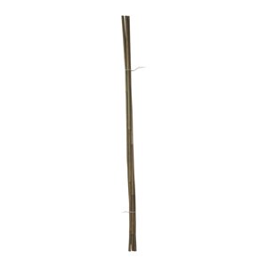 TOPTRADE tyč bambusová, O 10 - 12 mm x 105 cm, sada 5 ks (TOPTRADE tyč bambusová, O 10 - 12 mm x 105 cm, sada 5 ks)