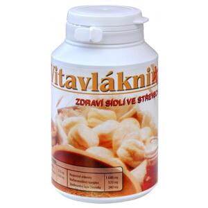 VITAVLÁKNINA XXL (Směs rozpustných a nerozpustných vláknin obohacená o aktivní mikroflóru, sladkovodní řasu Chlorella, lecitin.)