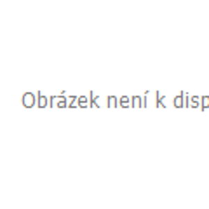 TOPTRADE špachtle nerezová, s gumovou, ergonomickou rukojetí, 90 mm, profi (TOPTRADE špachtle nerezová, s gumovou, ergonomickou rukojetí, 90 mm, profi)